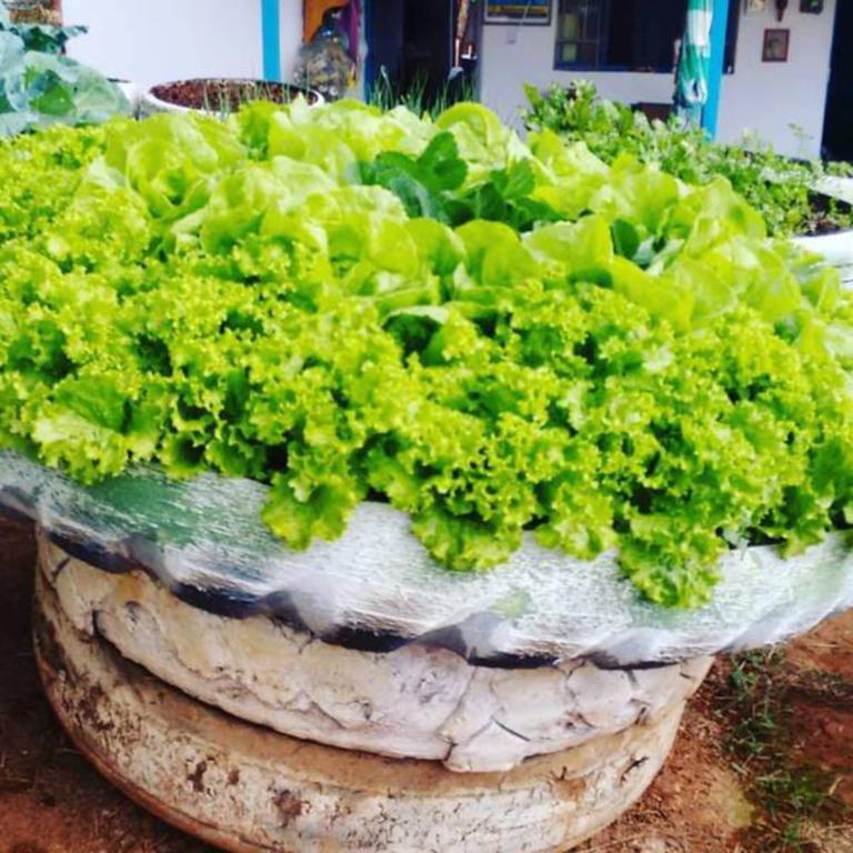 Pousada Shangrila Sao Thome Sao Tome das Letras Luaran gambar